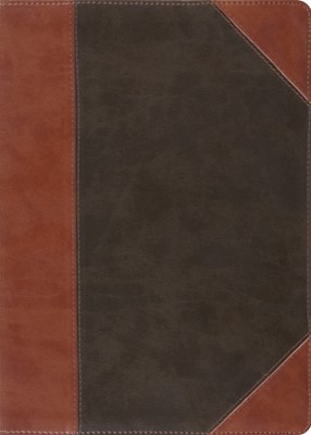 ESV Macarthur Study Bible (Trutone, Forest/Tan, Portfolio De (Imitation Leather)