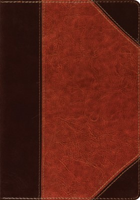 ESV Large Print Bible (Trutone, Brown/Cordovan, Portfolio De (Imitation Leather)