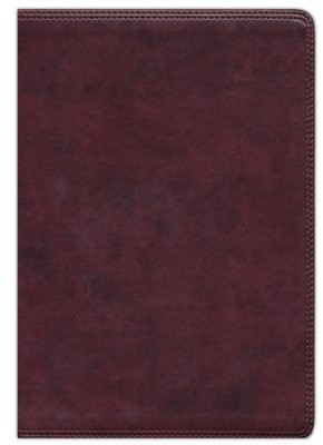 ESV Giant Print Bible (Trutone, Burgundy) (Imitation Leather)