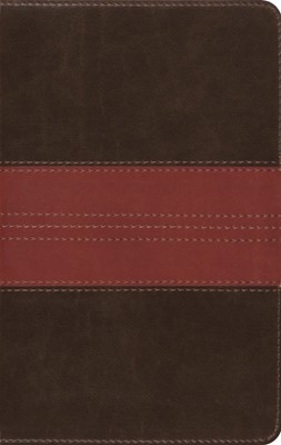 ESV Large Print Compact Bible (Trutone, Forest/Tan, Trail De (Imitation Leather)
