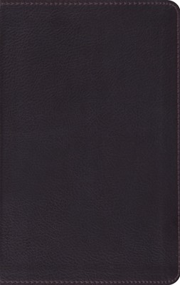 ESV Large Print Compact Bible (Trutone, Coffee) (Imitation Leather)