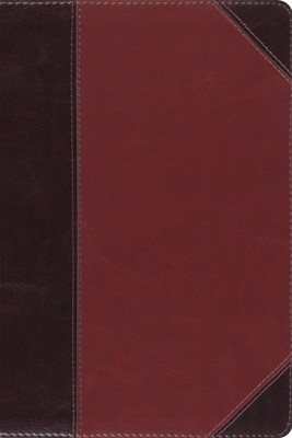 ESV Study Bible, Personal Size Trutone, Brown/Cordovan (Imitation Leather)