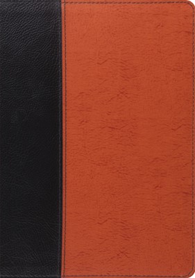 ESV Study Bible (Black/Saddle, Timeless Design) (Bonded Leather)