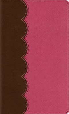 ESV Kid's Thinline Bible, Trutone, Chocolate/Bubble Gum (Imitation Leather)