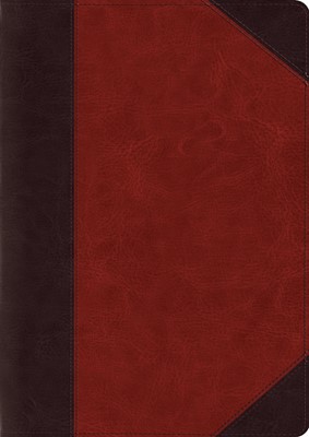 ESV Study Bible, Large Print, Trutone, Brown/Cordovan (Imitation Leather)