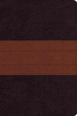 ESV Study Bible, Personal Size Trutone, Deep Brown/Tan (Imitation Leather)