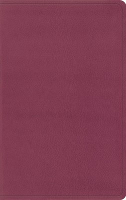 ESV Value Thinline Bible, Trutone, Pink (Imitation Leather)