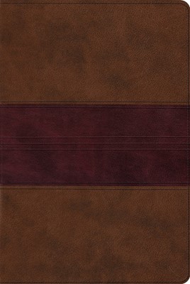 ESV Single Column Heritage Bible, Trutone, Chocolate/Plum (Imitation Leather)