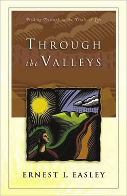 Through The Valleys (Paperback)