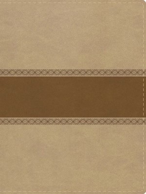 The Mission Of God Study Bible, Desert Sand Leathertouch (Imitation Leather)