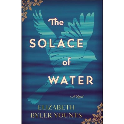 The Solace Of Water (Paperback)