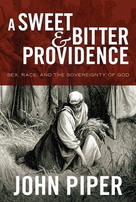 A Sweet And Bitter Providence (Hard Cover)