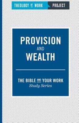 Provision and Wealth (Paperback)
