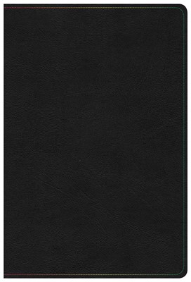 KJV Rainbow Study Bible, Black LeatherTouch, Indexed (Imitation Leather)