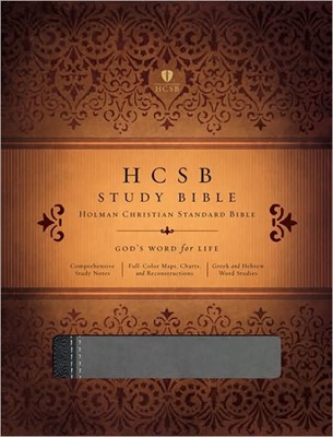 HCSB Study Bible, Black/Gray Leathertouch (Imitation Leather)