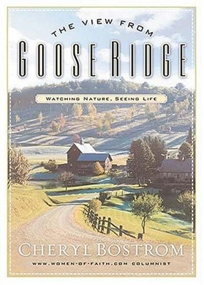The View from Goose Ridge (Paperback)