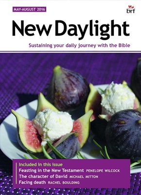 New Daylight Deluxe Edition May - August 2016 (Paperback)