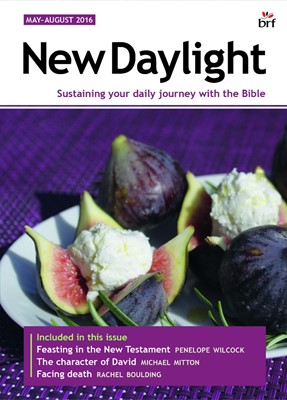New Daylight May - August 2016 (Paperback)