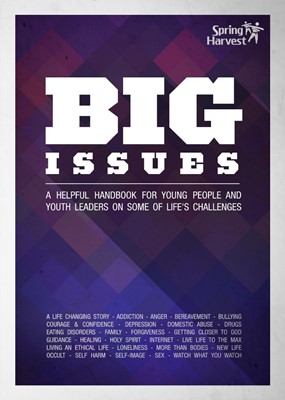 Big Issues (Paperback)