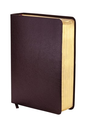 NIV Study Bible Burgundy Bonded Leather (Flexiback)