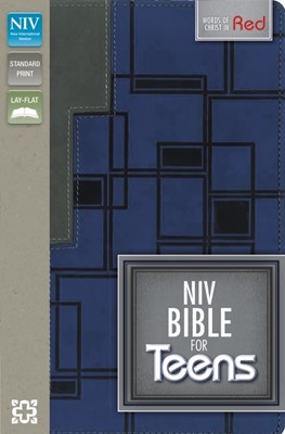 NIV Bible For Teens Charcoal/Blue Duo Tone (Flexiback)