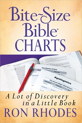 Bite Size Bible Charts (Paperback)