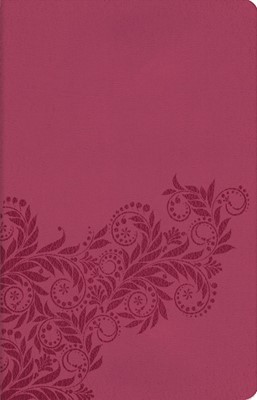 KJV Ultraslim Reference Bible (Paperback)