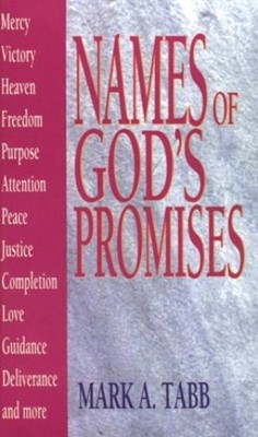 Names Of God'S Promises (Paperback)