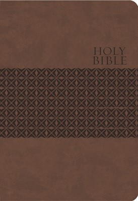 KJV Study Bible (Imitation Leather)
