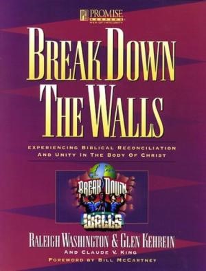 Break Down The Walls Workbook (Paperback)
