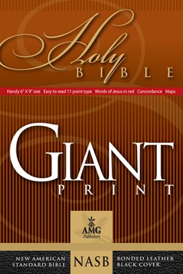 Giant Print Handy-Size Reference Bible (Leather Binding)