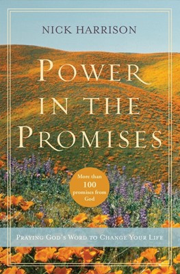 Power In The Promises (Paperback)
