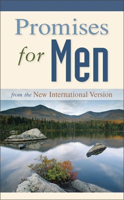 Promises For Men (Paperback)