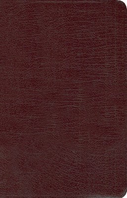 NIV New Women's Devotional Bible, Burgundy (Bonded Leather)