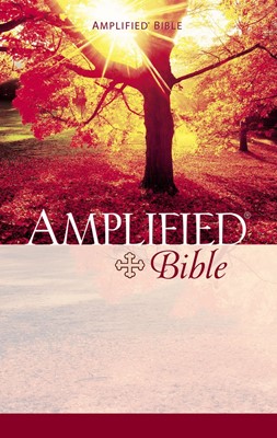 Amplified Bible (Paperback)