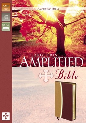 Amplified Bible, Large Print, Camel-Burgundy (Imitation Leather)