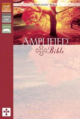Amplified Bible (Leather Binding)