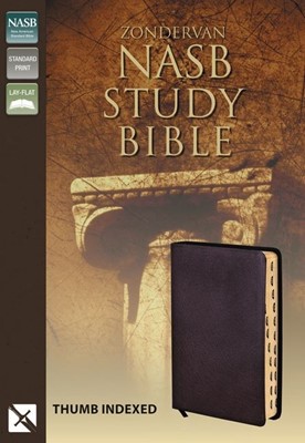 NASB Zondervan Study Bible Indexed (Leather Binding)