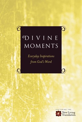Divine Moments (Paperback)