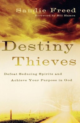 Destiny Thieves (Paperback)