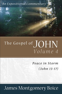 Gospel Of John, The: Volume 4 (Paperback)