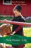 A New Home For Lily (Paperback)