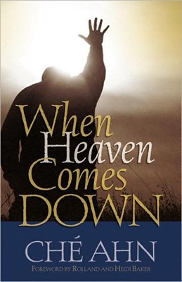 When Heaven Comes Down (Paperback)