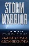 Storm Warrior (Paperback)