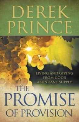 The Promise Of Provision (Paperback)