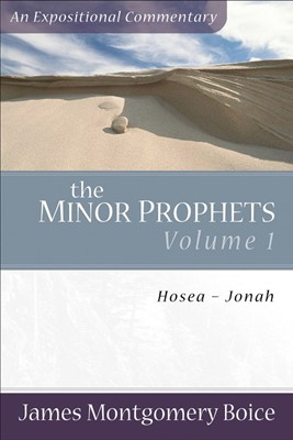 Minor Prophets, The: Volume 1 (Paperback)
