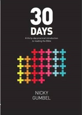 30 Days (Paperback)