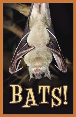 Bats! (Pack Of 25) (Tracts)