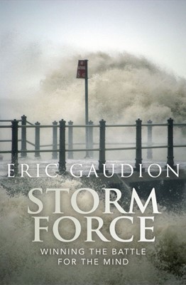 Storm Force (Paperback)
