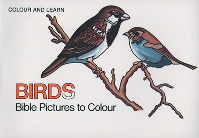 Bible Birds (Paperback)
